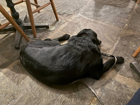 Chiselhampton酒店住宿-The Bat & Ball Cuddesdon