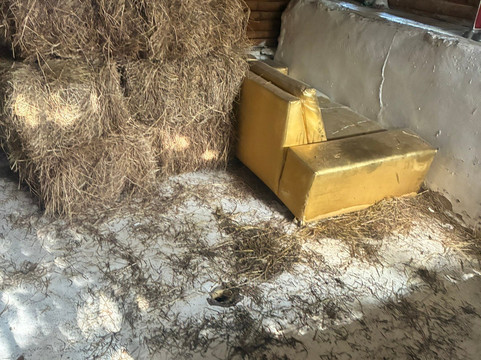 Bethel BioLuxury Tatacoa Desert主图