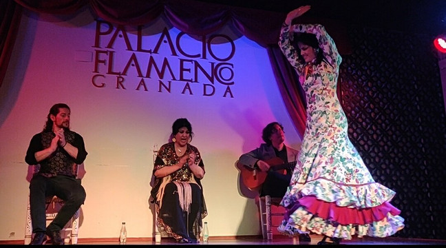 Palacio Flamenco Granada-格拉纳达必去景点