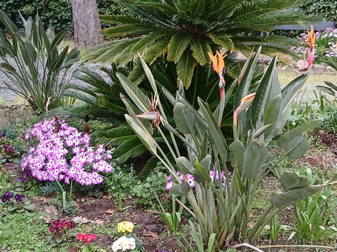 Villa Marie-弗雷瑞斯必去景点