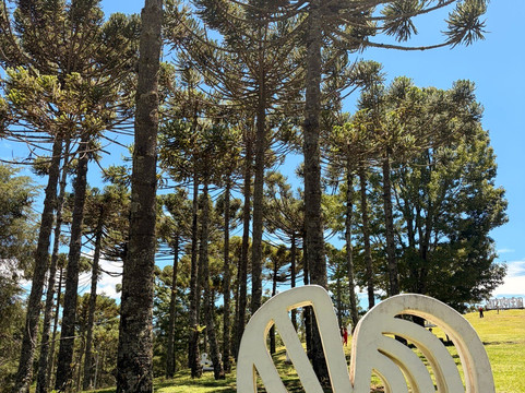 Museu Felícia Leirner-坎普斯－杜若尔当必去景点