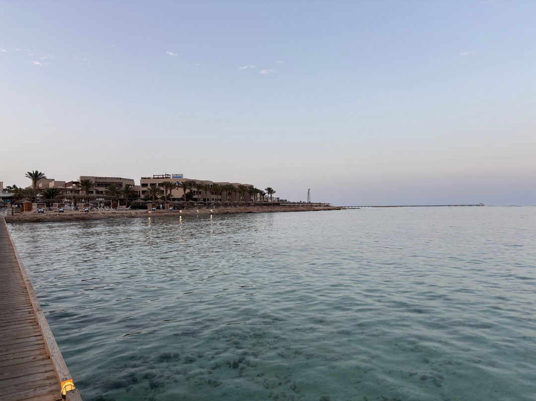 ORCA Dive Club Soma Bay-索马湾必去景点