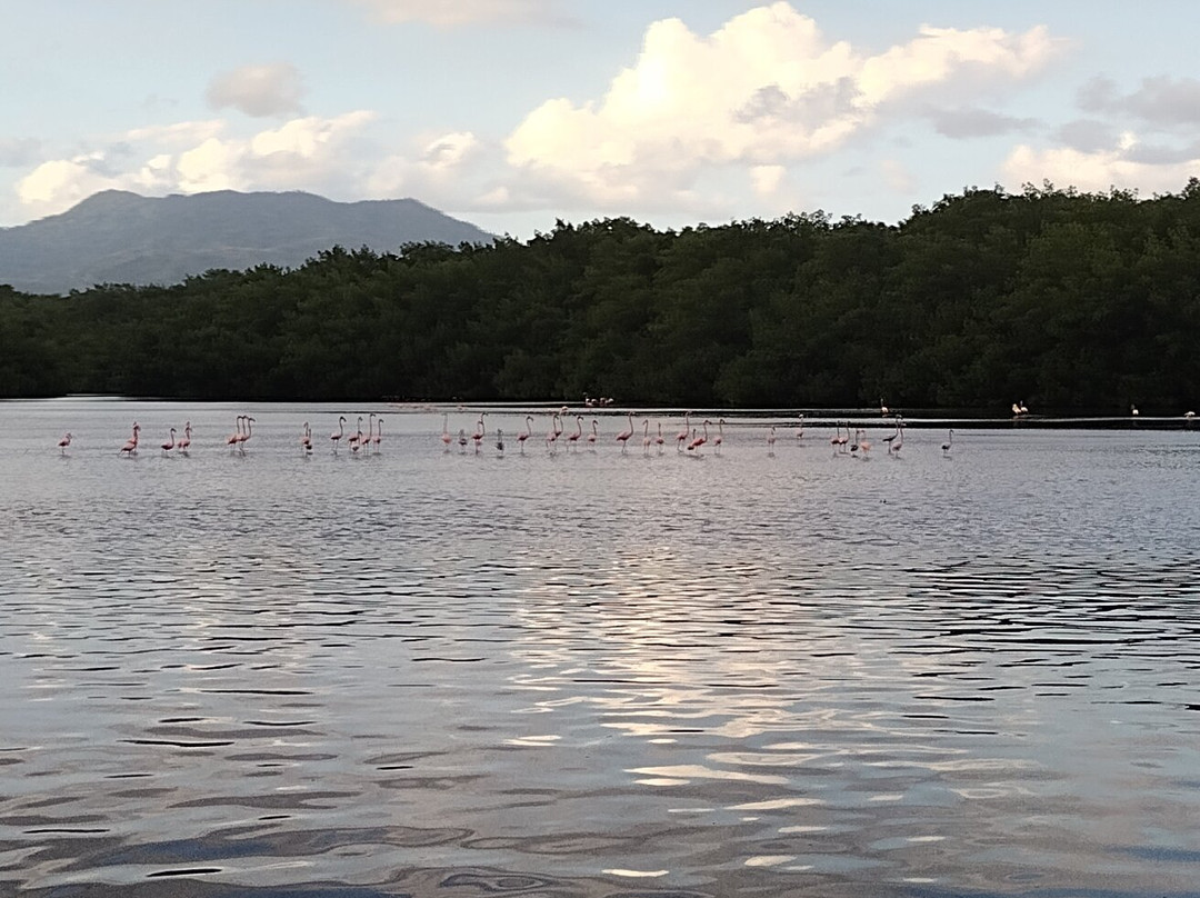 Caroni Bird Sanctuary-Caroni必去景点