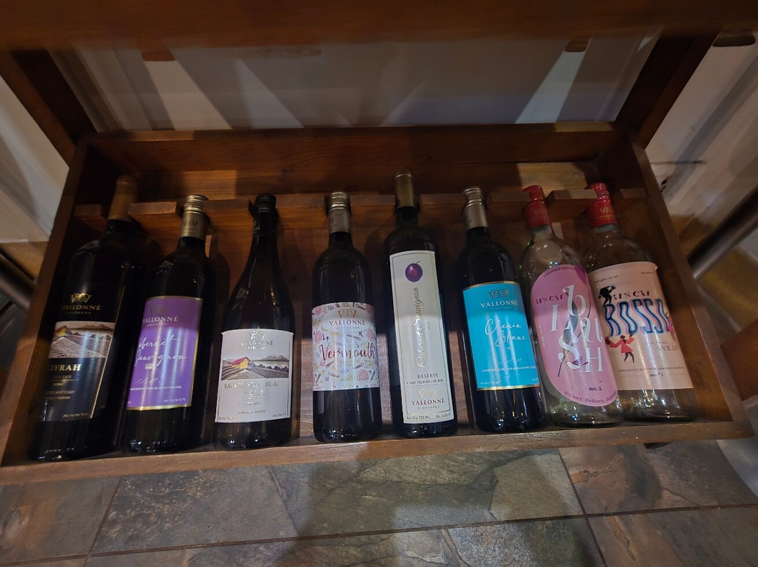 Vallonne Vineyards-Igatpuri必去景点