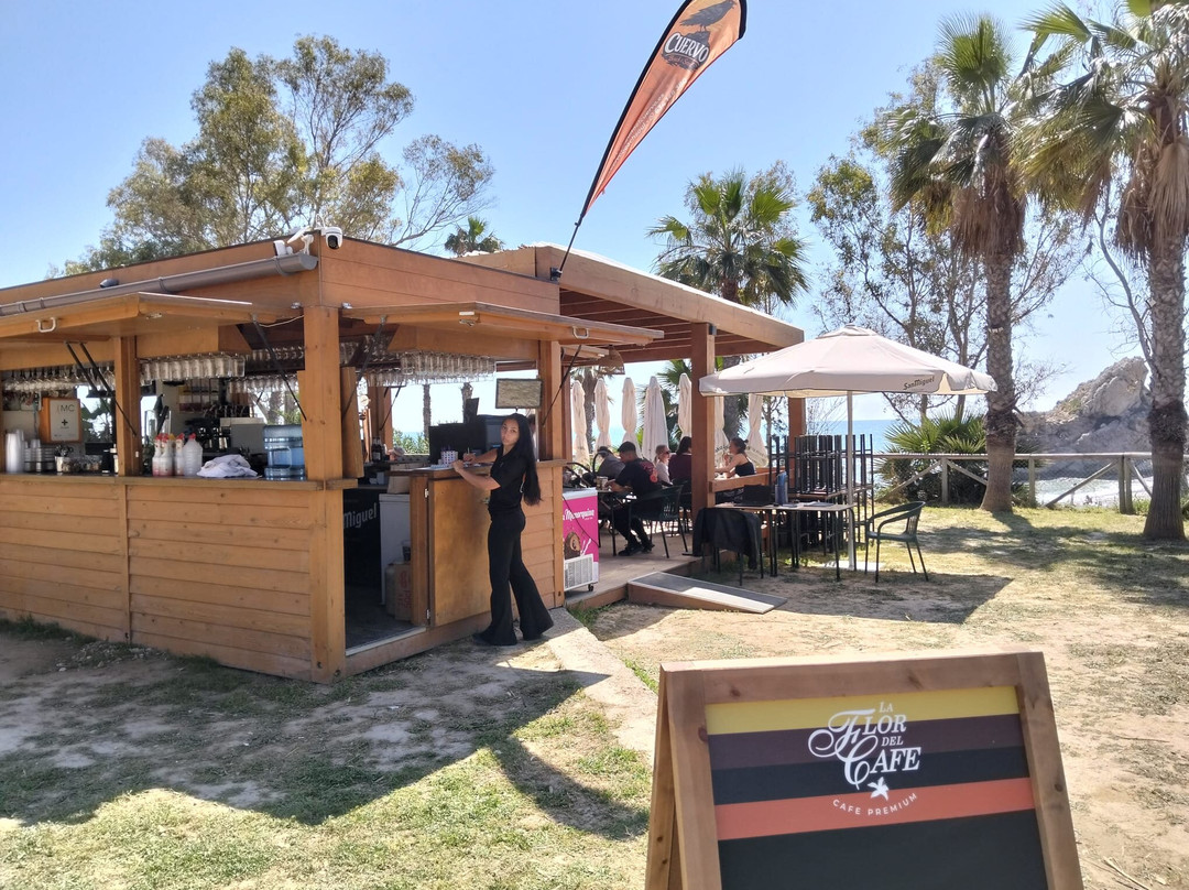 El cuervo beach & soul主图