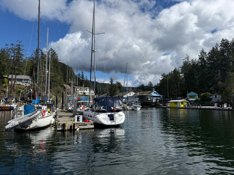 SloCat Harbour Tours-马德拉公园镇必去景点