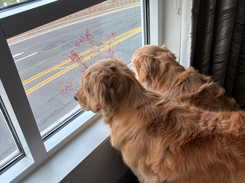 安纳波利斯威斯汀酒店主图