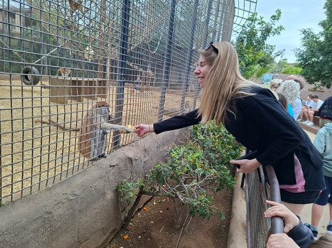 Monkey Park-洛斯克里斯蒂亚诺斯必去景点