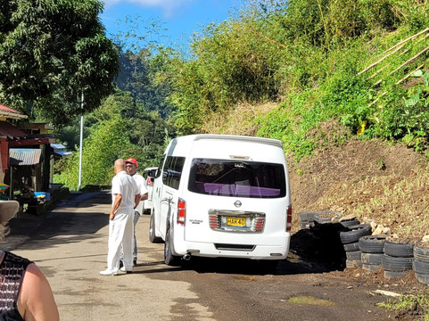 Mandoo's Tour & Taxi Service-St. George's必去景点