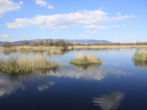 Parque Nacional de las Tablas de Daimiel-Daimiel必去景点