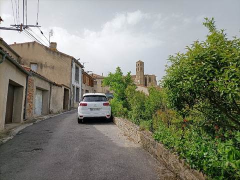 Collégiale Saint-Vincent-Montreal必去景点