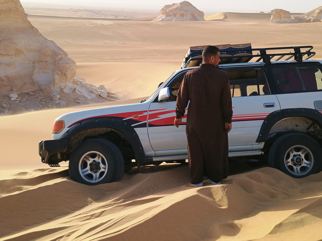 艾哈迈德野生营地旅馆主图