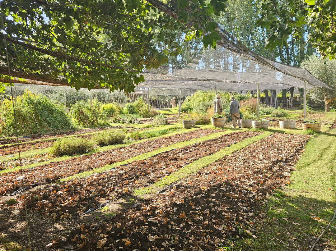 Mendoza Viagem-门多萨必去景点