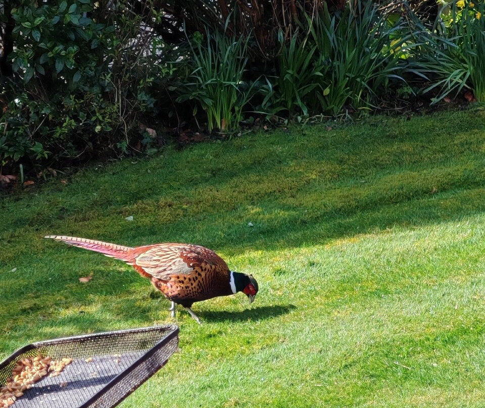 波廷斯凯尔-戴尔加斯之家主图
