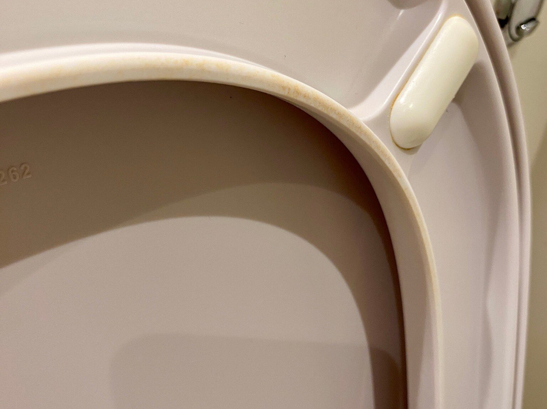 白金汉普瑞米尔酒店主图