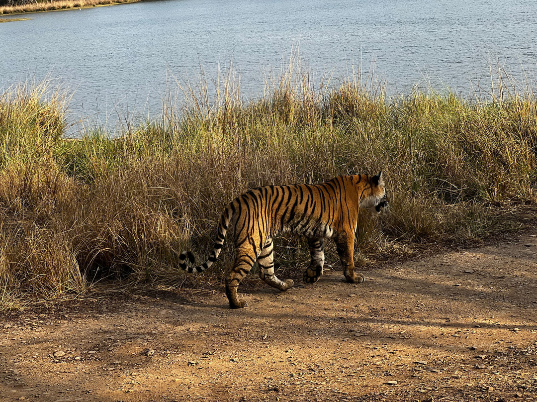 Rifa Tours India - Private Day Tour-瑟瓦伊马托布尔必去景点