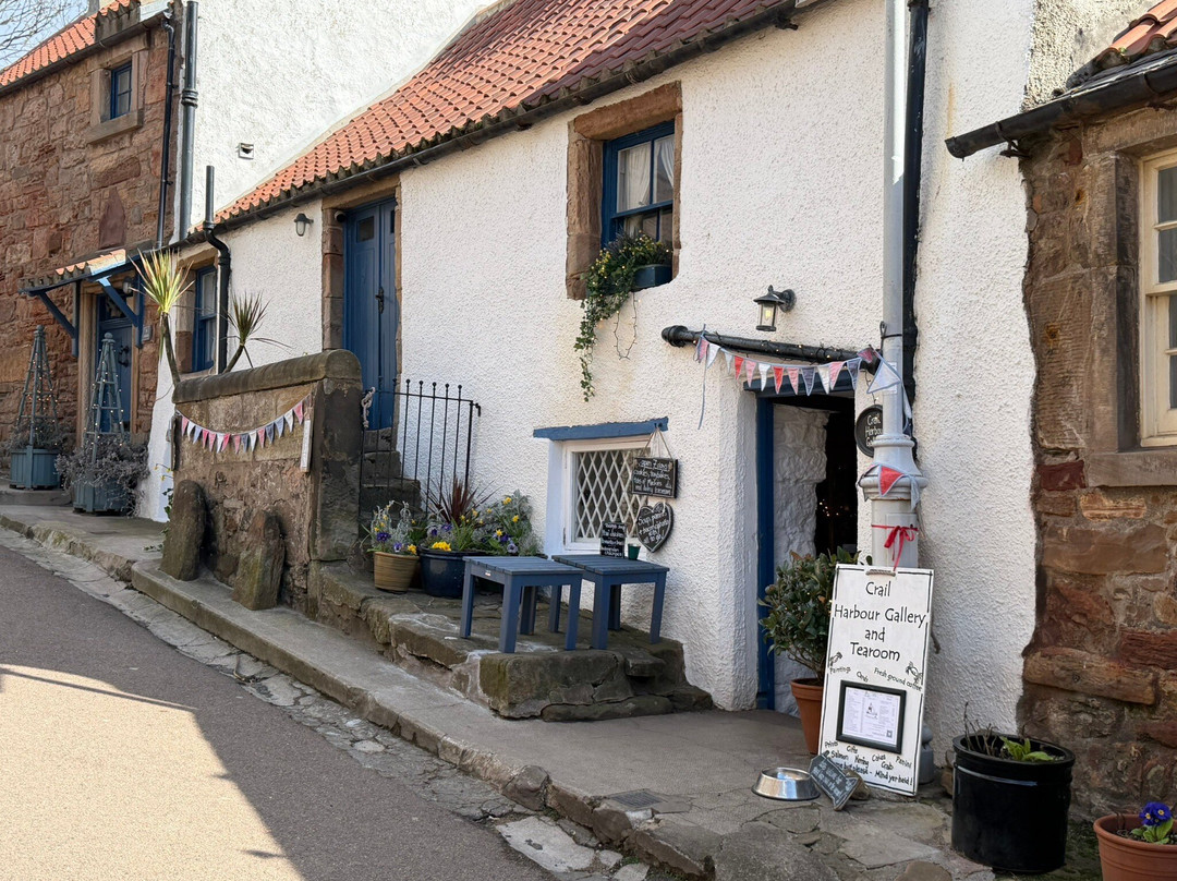 Crail Harbour Gallery And Tea Room