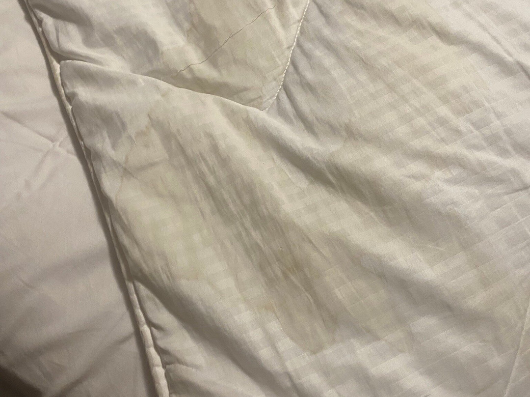 前进汽车旅馆主图