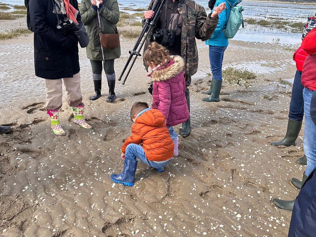 Visiter la baie de Somme-Fort-Mahon-Plage必去景点