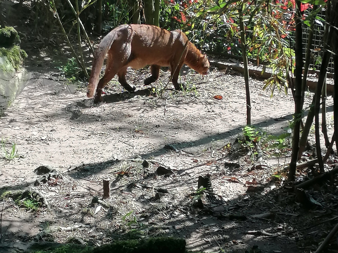 Parco Faunistico La Torbiera-Agrate Conturbia必去景点