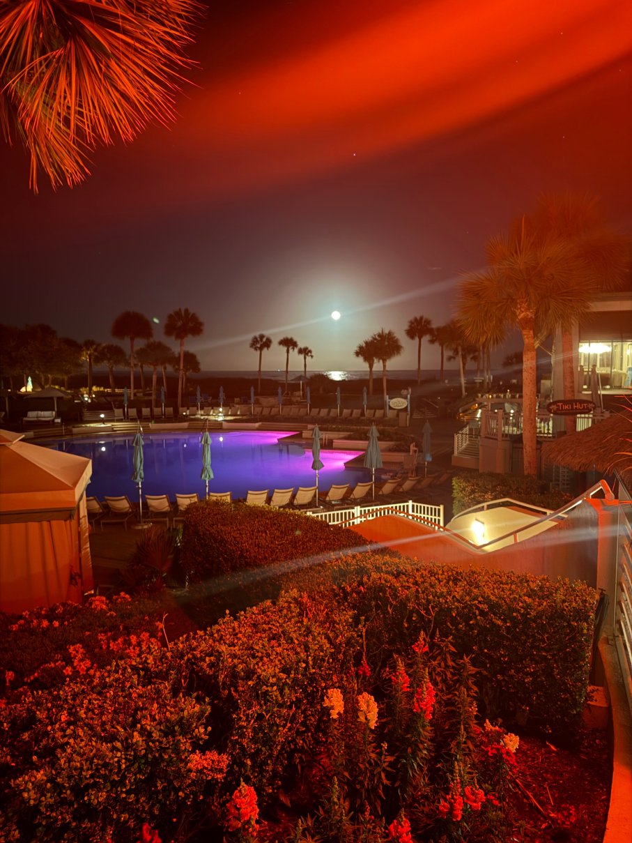 威斯汀希尔顿头岛水疗度假村-泳池