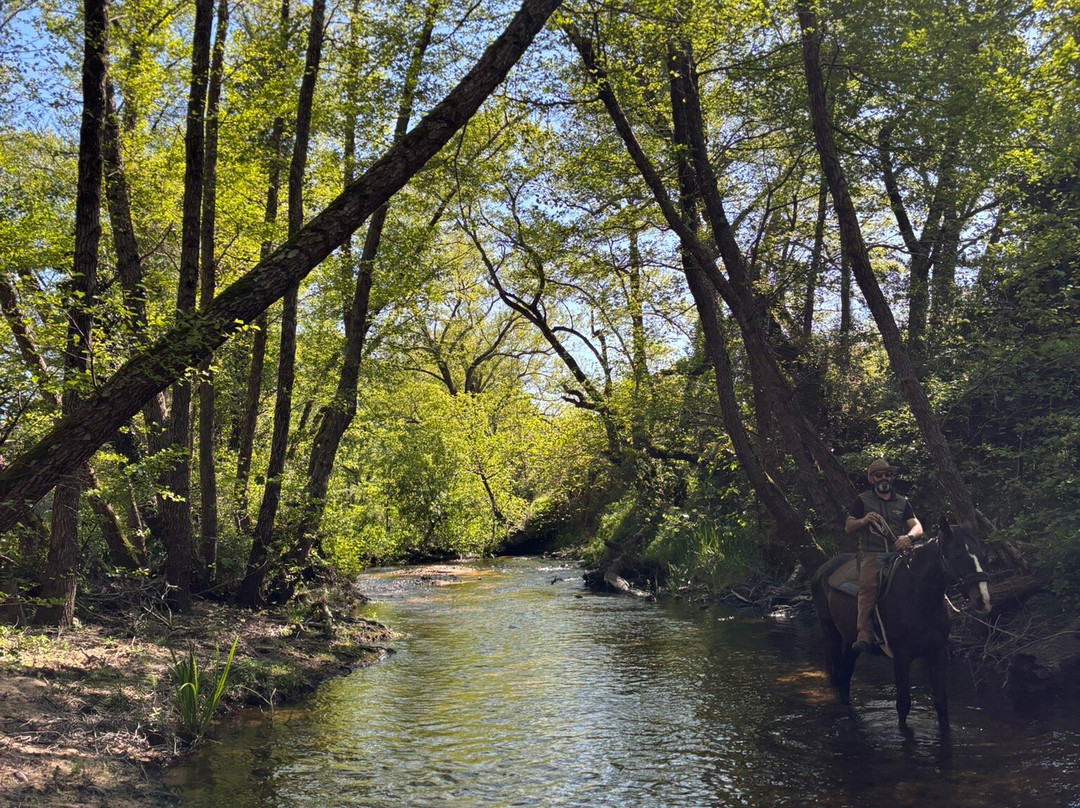Centro Equestre La Prugnola-Arzachena必去景点