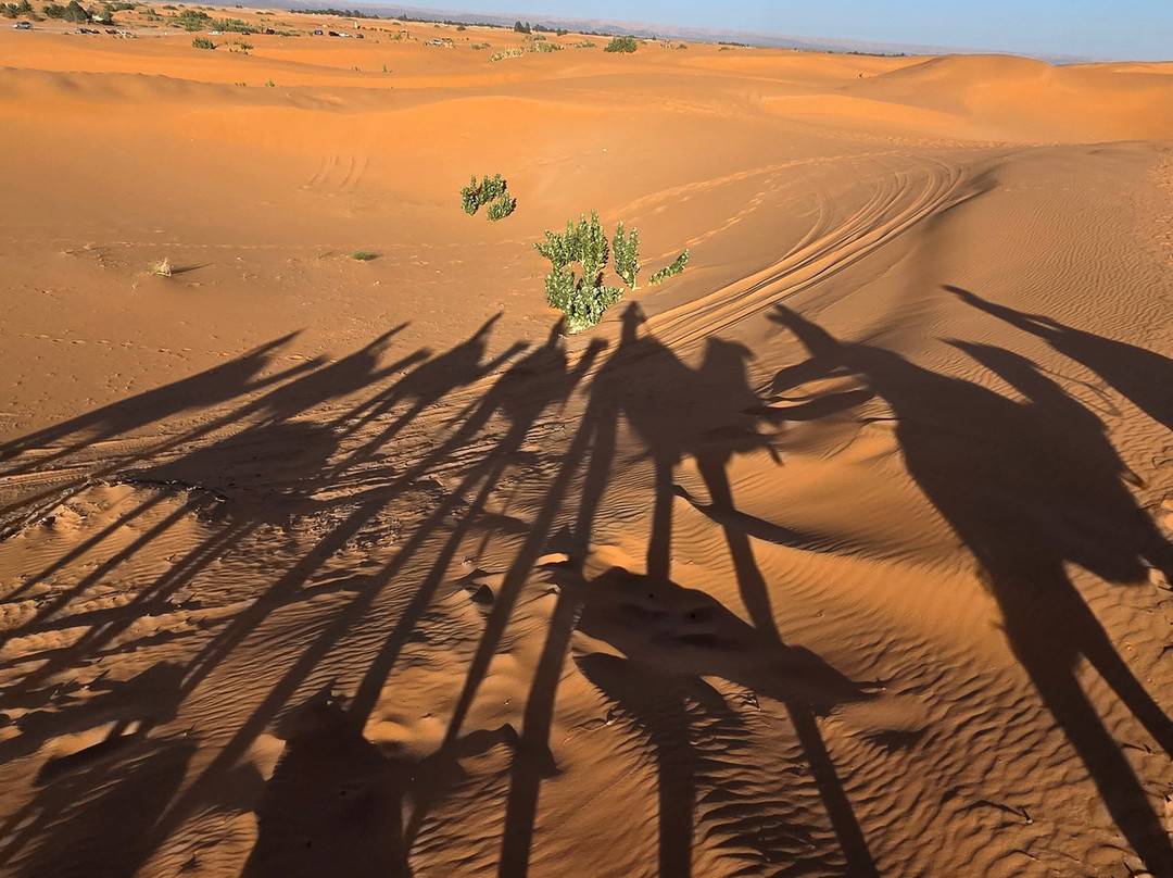 Wild Desert of Morocco-卡萨布兰卡必去景点