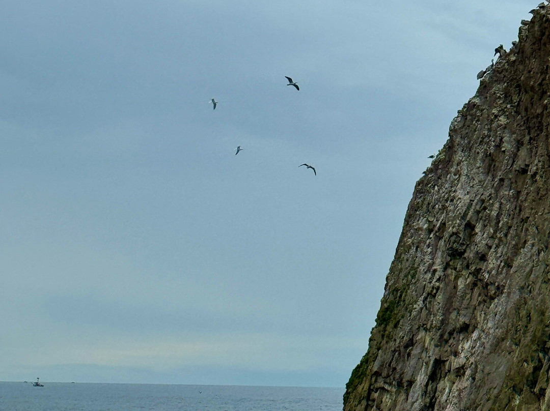 Seal Rock State Park-Seal Rock必去景点