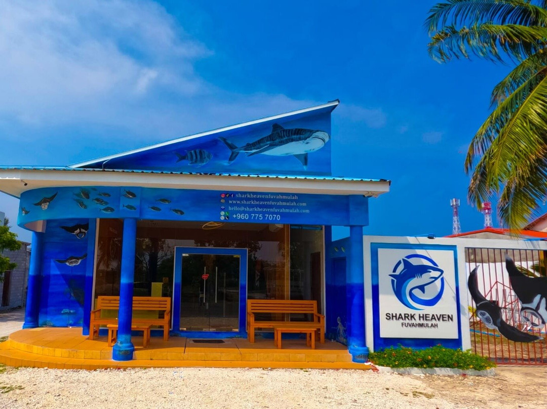 Shark Heaven Fuvahmulah