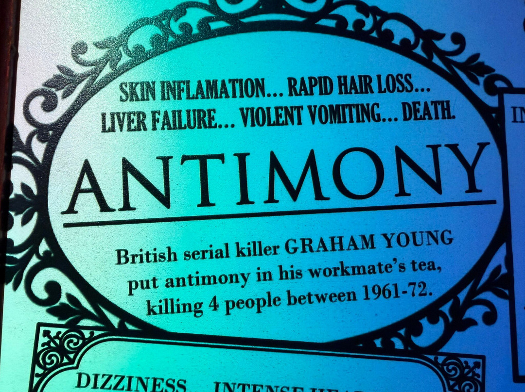 The True CRIME Museum-海斯廷斯必去景点