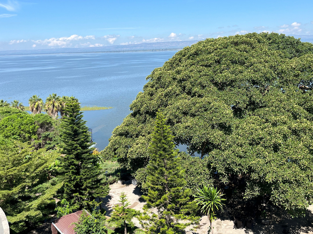 海尔度假村-哈瓦萨主图