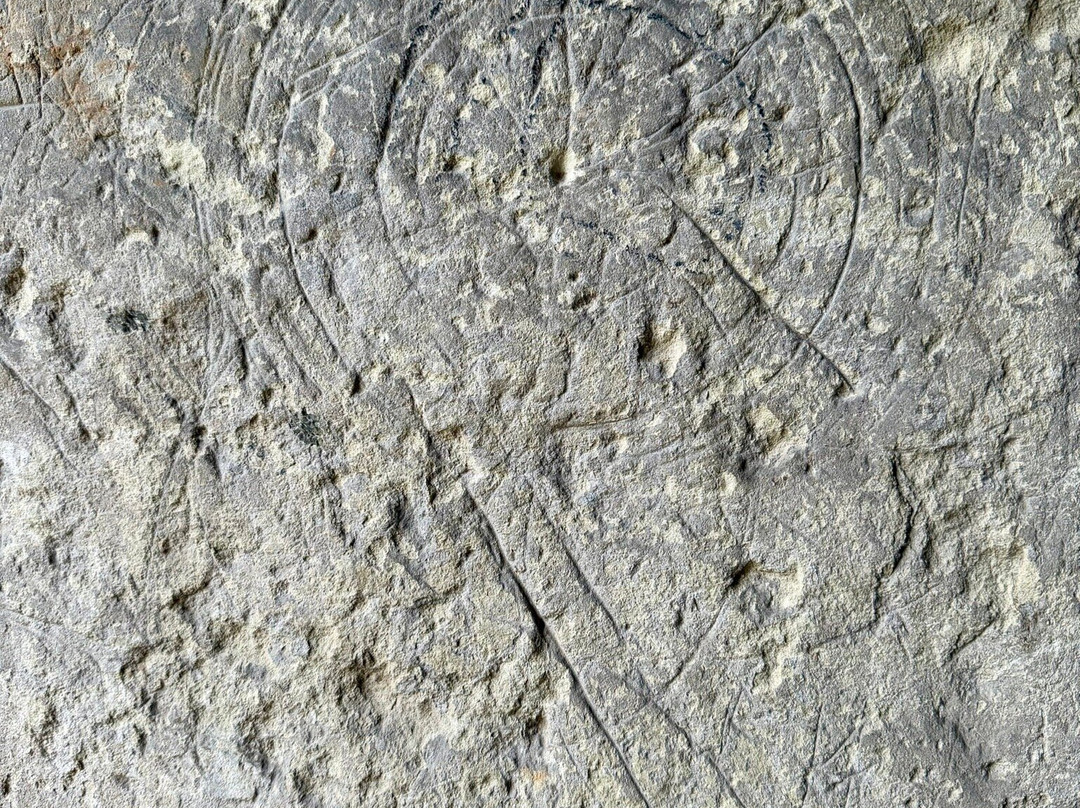 The Great Barn-Harmondsworth必去景点