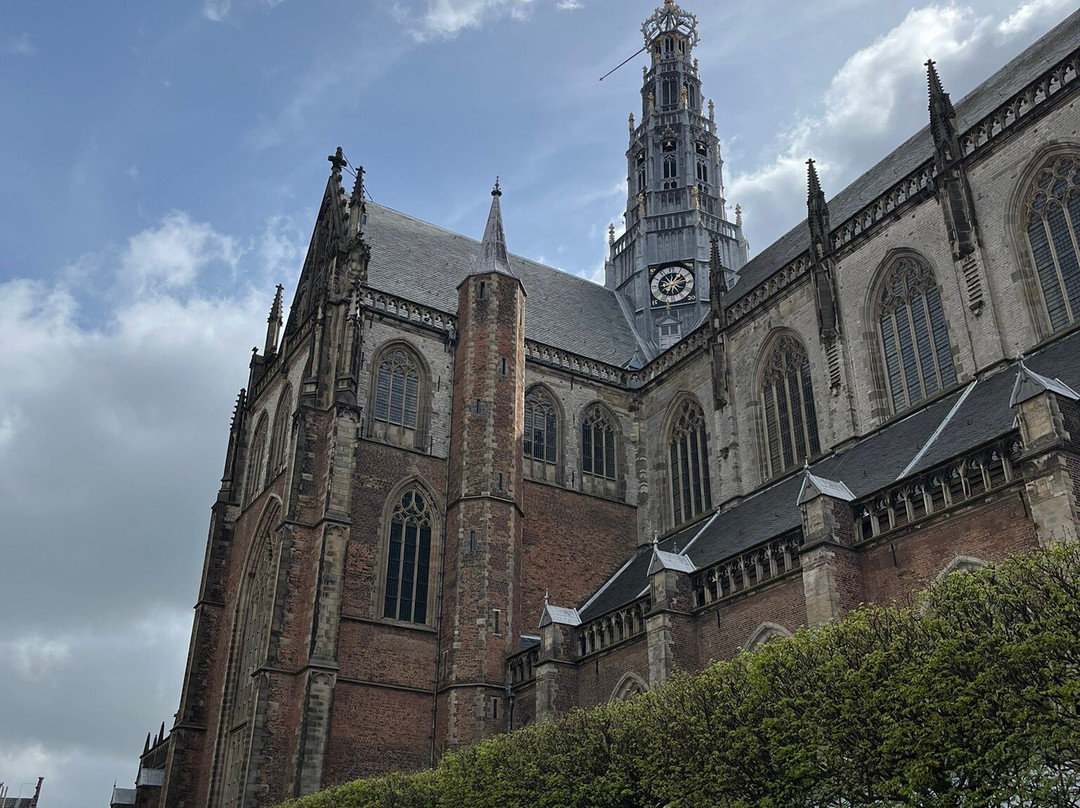 Sint-Bavokerk (Church of St. Bavo)-哈勒姆必去景点
