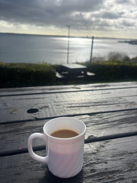 怀尔德伍德旅馆-旅行者