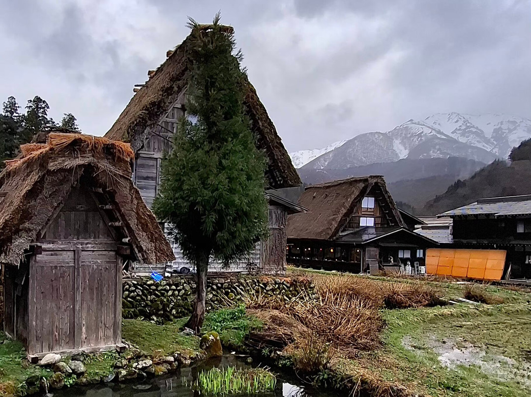 Shirakawago-白川村必去景点