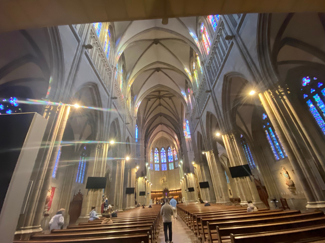 Buen Pastor Cathedral-圣塞瓦斯蒂安必去景点