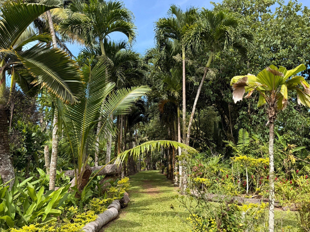 Maire Nui Gardens & Cafe-拉罗汤加必去景点