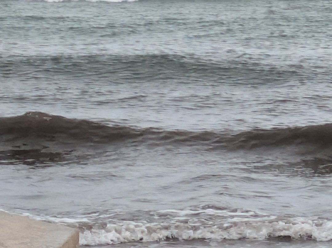 一号度假村水上公园&温泉主图