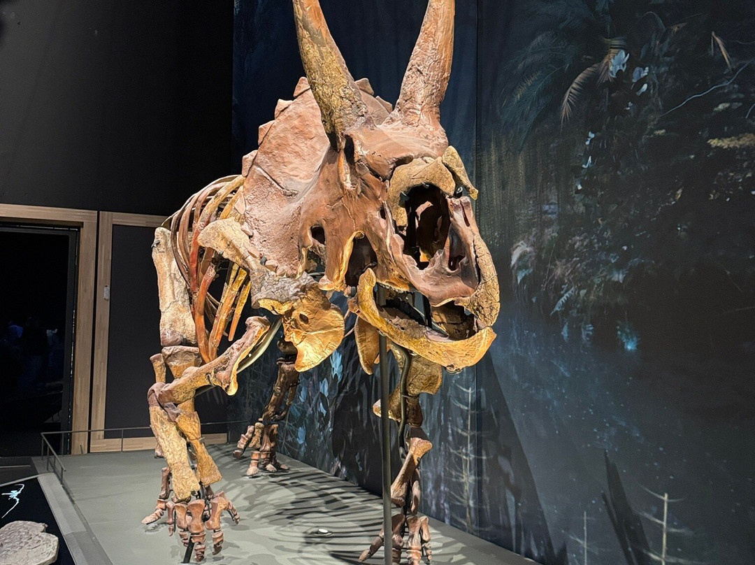 Naturalis Biodiversity Center-莱顿必去景点