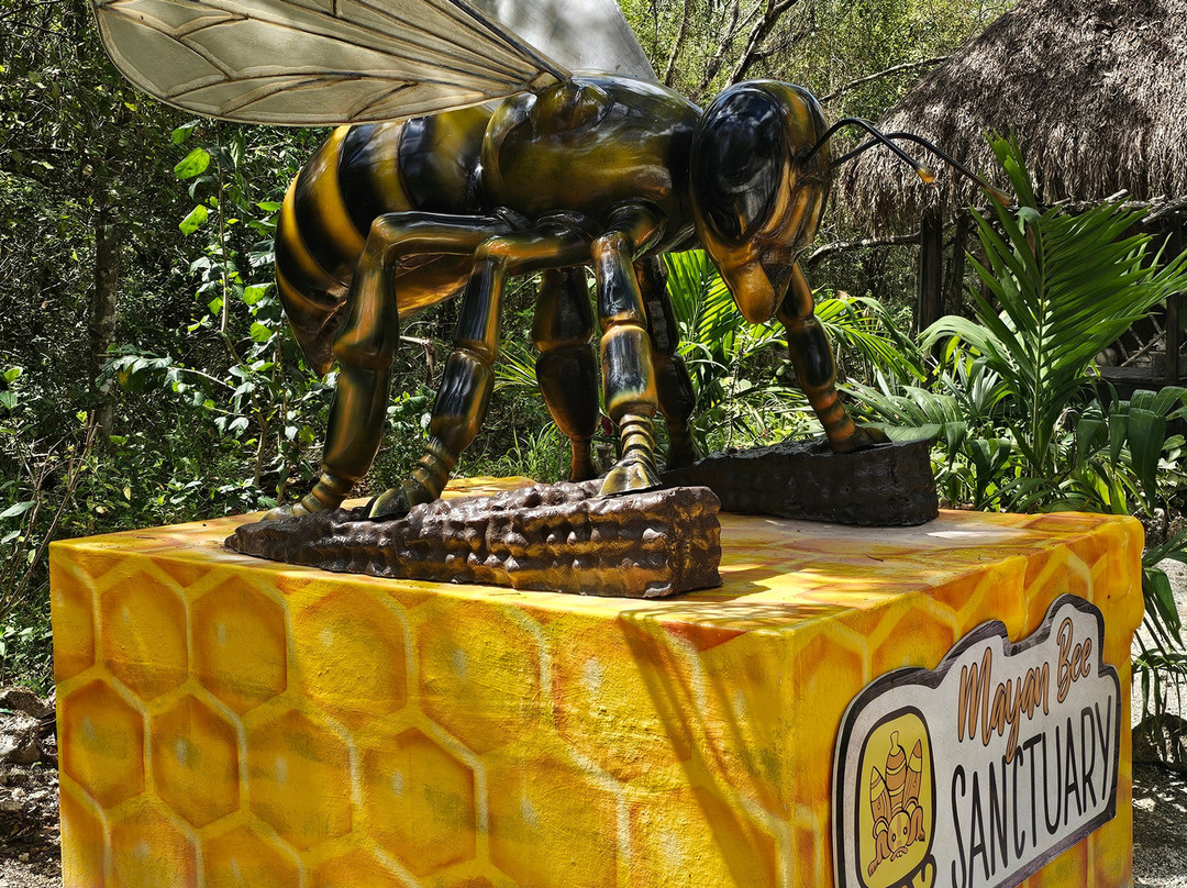 Mayan Bee Sanctuary-San Miguel de Cozumel必去景点
