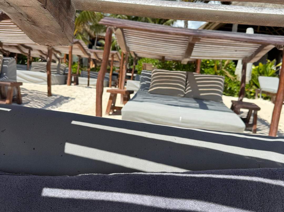 玛夏那比酒店主图