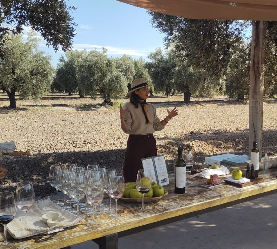 Finca El Paraíso - Bodega Luigi Bosca-Maipu必去景点