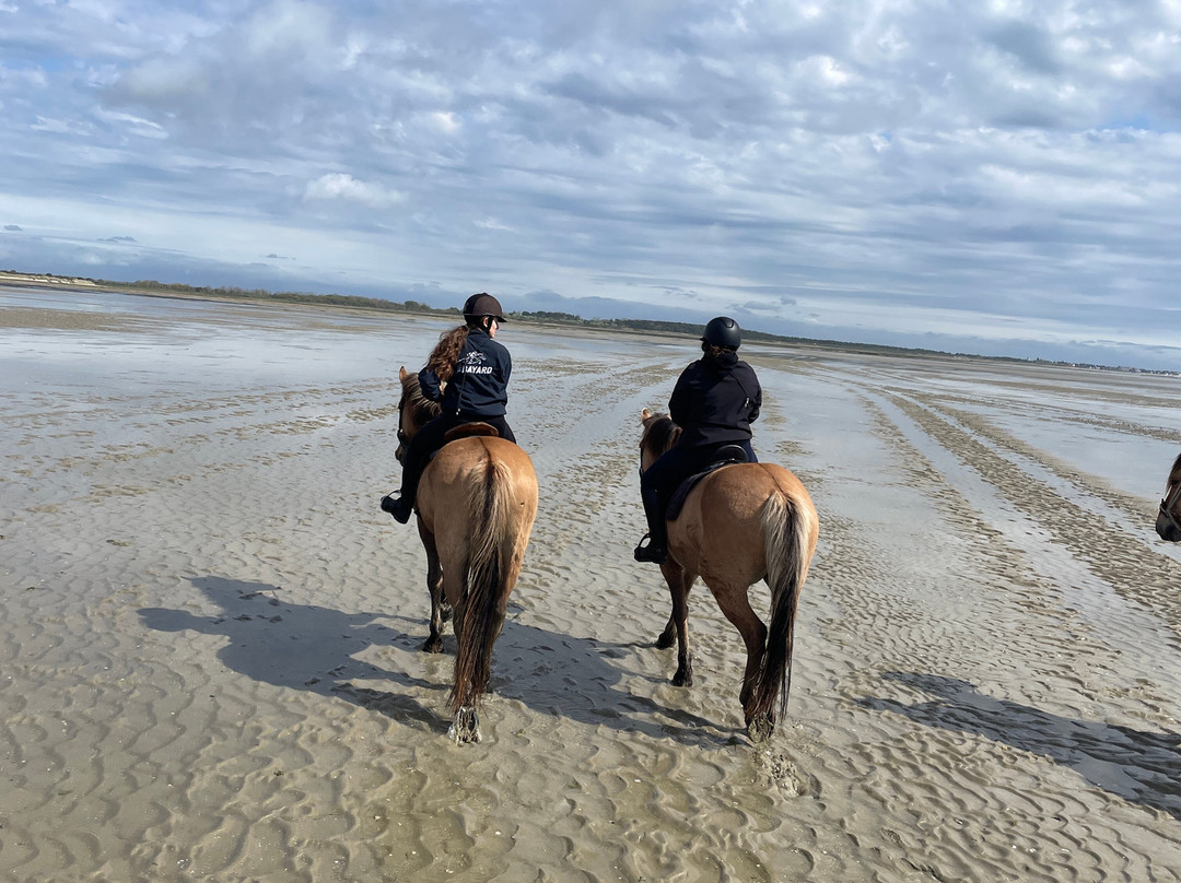 Espaces Equestres Henson-Saint-Quentin-en-Tourmont必去景点