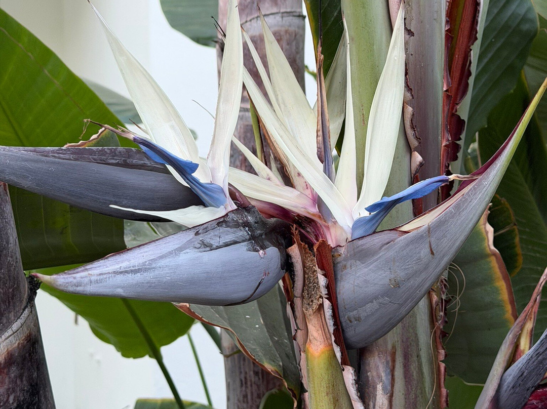 玛丽亚别墅套房酒店主图