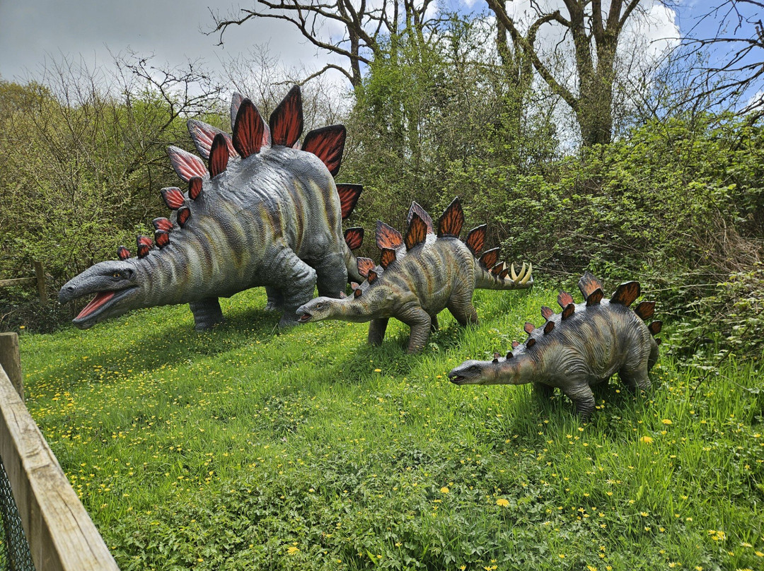 The Dinosaur Park-腾比必去景点