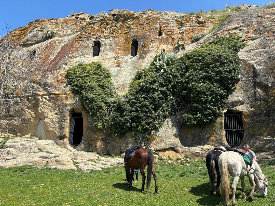 Horse Riding at Pippa's Paddock-Alia必去景点
