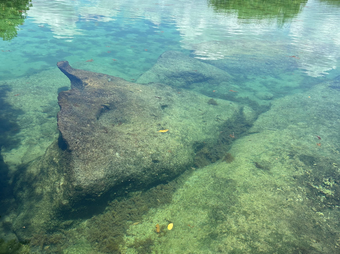 Yal-ku Lagoon-艾库玛尔必去景点