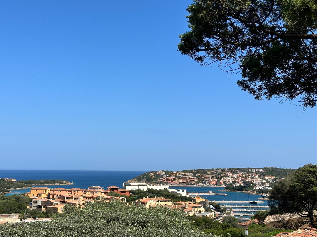La Bufala Shop Porto Cervo