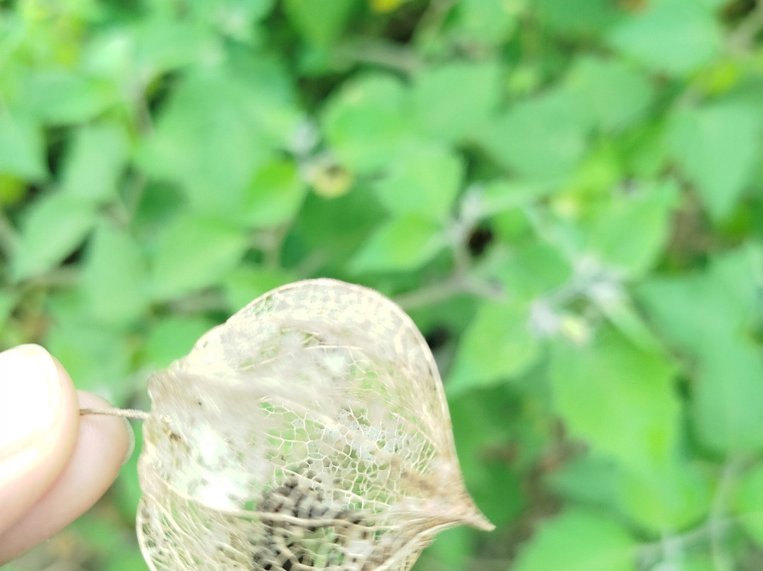 Eco Pousada Eldorado Lumiar主图