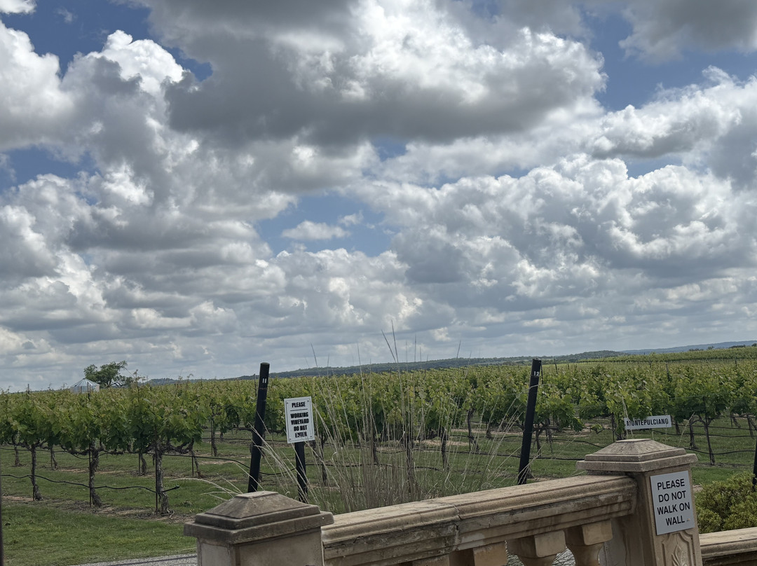 Grape Creek Vineyards Fredericksburg-弗雷德里克斯堡必去景点